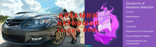 твердый Богданович