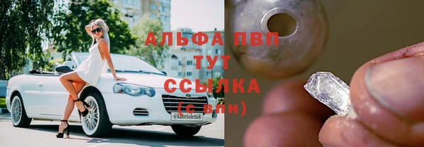 твердый Богданович