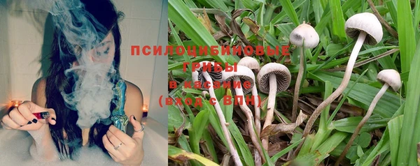 таблы Белокуриха