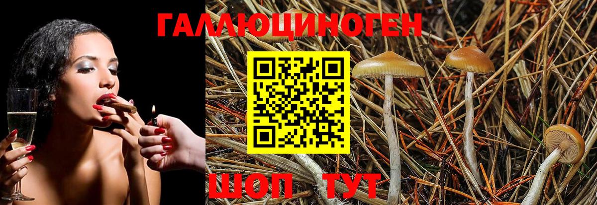 Псилоцибиновые грибы Cubensis  Вход с VPN  Буйнакск  Галлюциногенные грибы MAGIC MUSHROOMS 